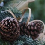 Hexenkreis: Sperrnächte?